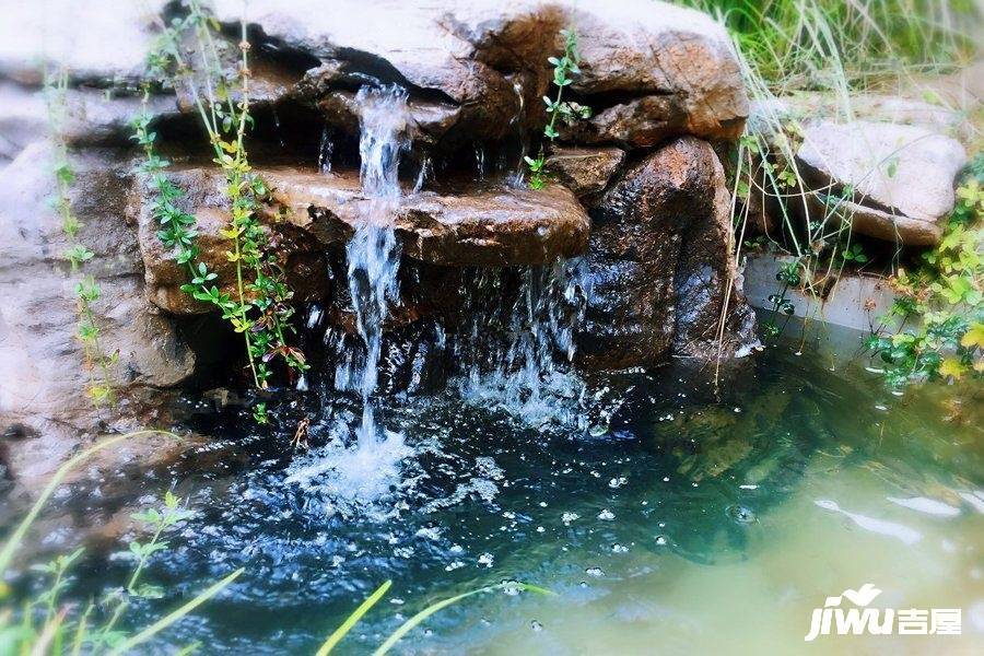 格调松间实景图图片