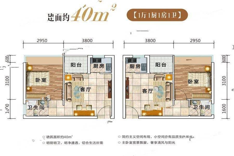 和园1室1厅1卫40㎡户型图