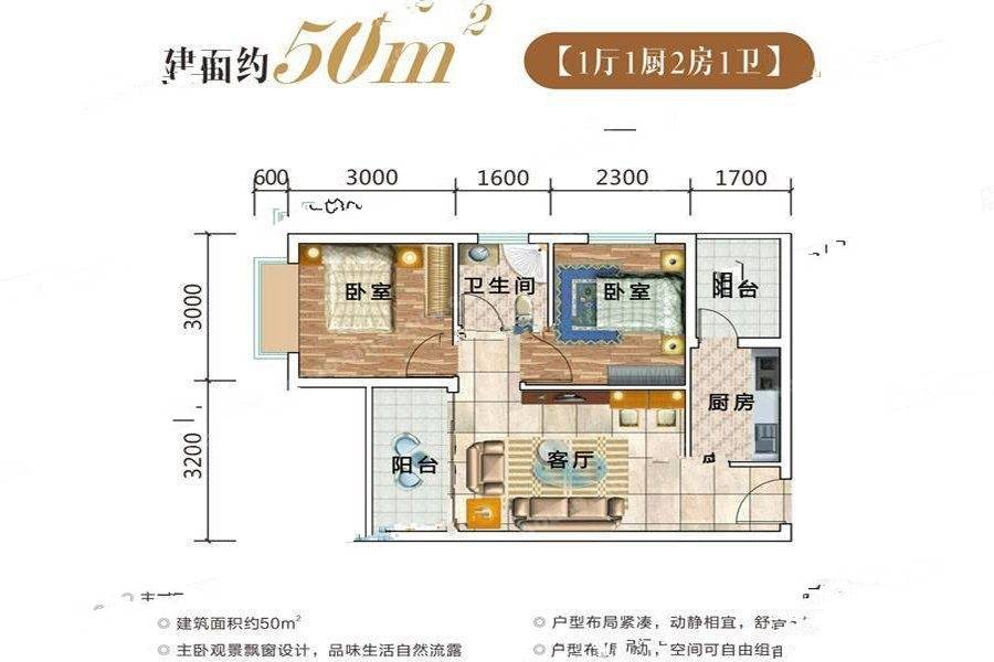 和园2室1厅1卫50㎡户型图