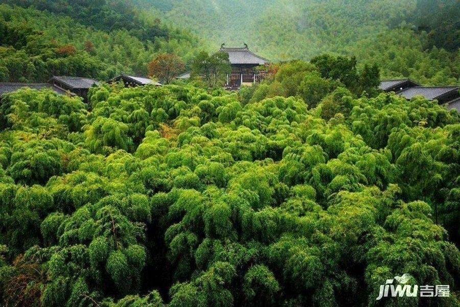 南山雅居配套图图片