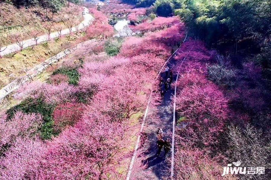 南山雅居配套图图片