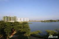 华邦玥珑湖实景图图片