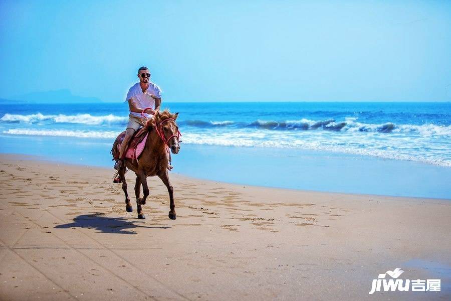 鼎龙湾国际海洋度假区配套图图片