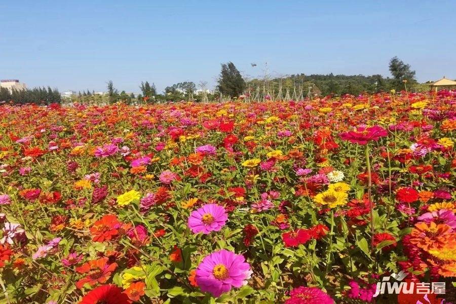 海景花园配套图图片