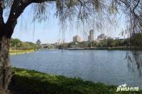 碧桂园阳光城十里江湾配套图图片