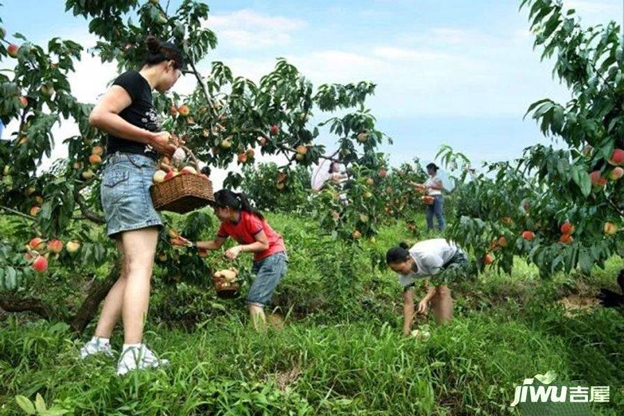 富力锦绣桃源配套图图片