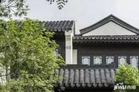 绿城桃李春风实景图图片
