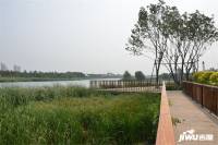 清河半岛实景图图片