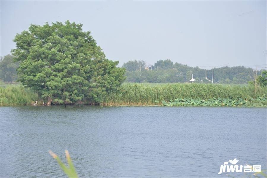 清河半岛实景图图片