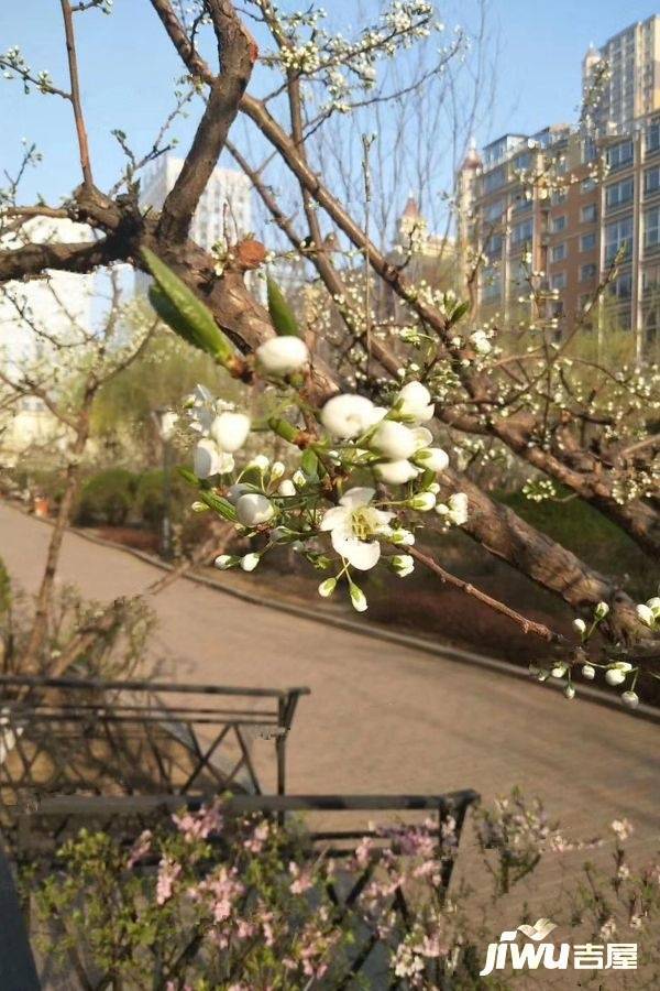 金水花城实景图图片