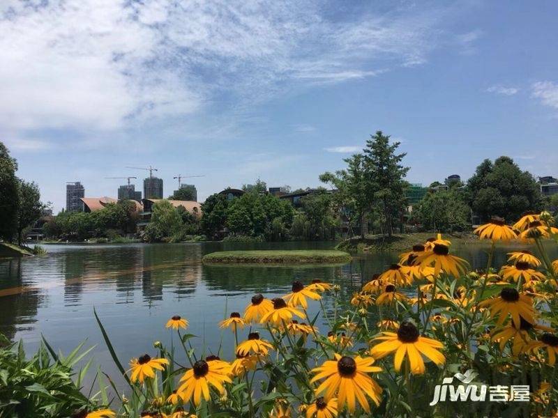 麓湖生态城麒麟荟实景图图片