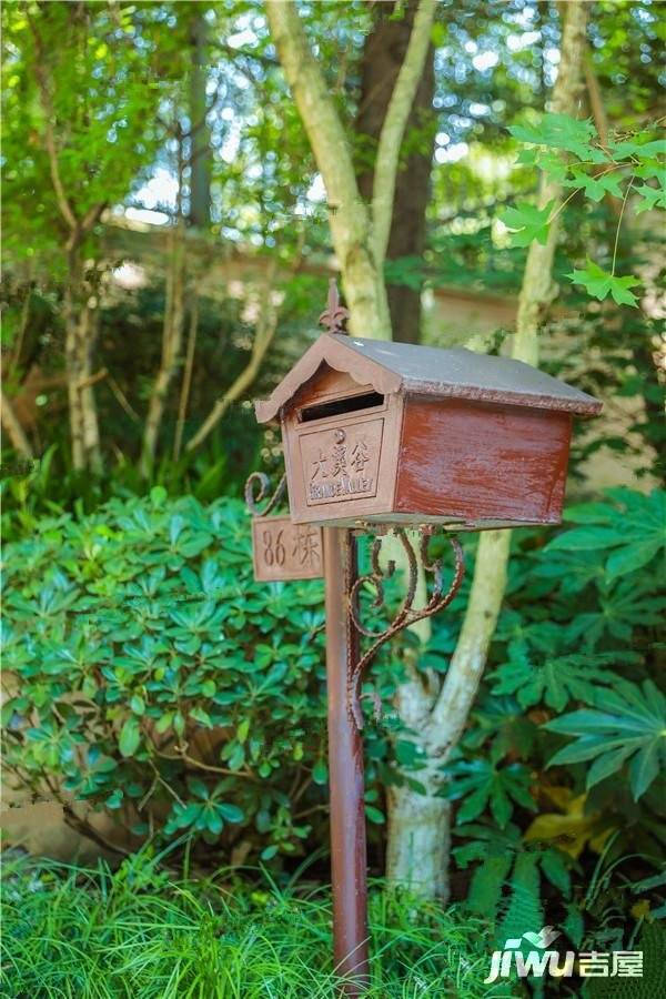 花样年大溪谷实景图图片