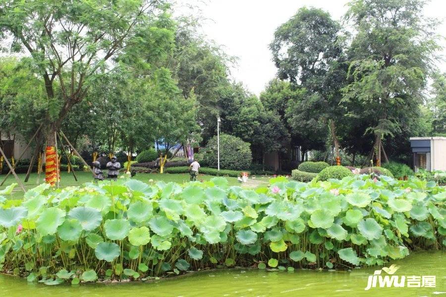 远大中央公园实景图图片