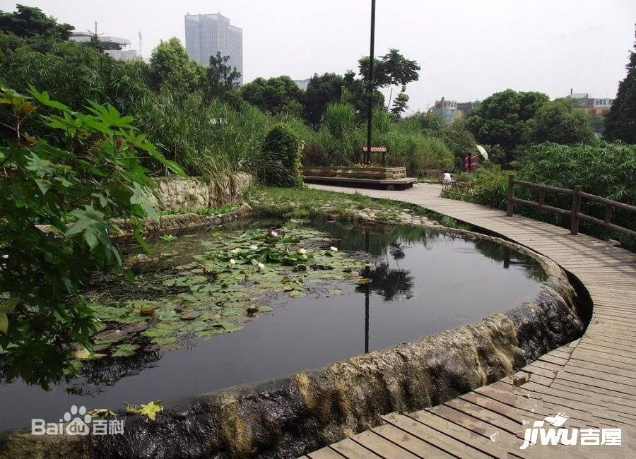 杜鹃城千万间位置交通图图片