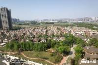 棠湖泊林城实景图图片
