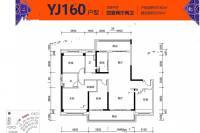 碧桂园海昌天澜4室2厅2卫180㎡户型图