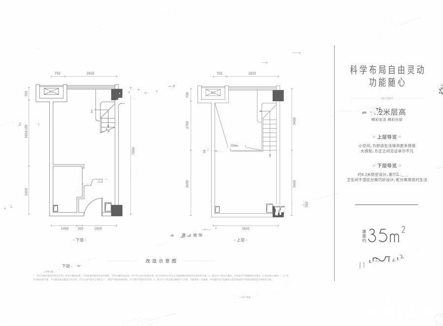 天琅商业-平层35㎡户型图