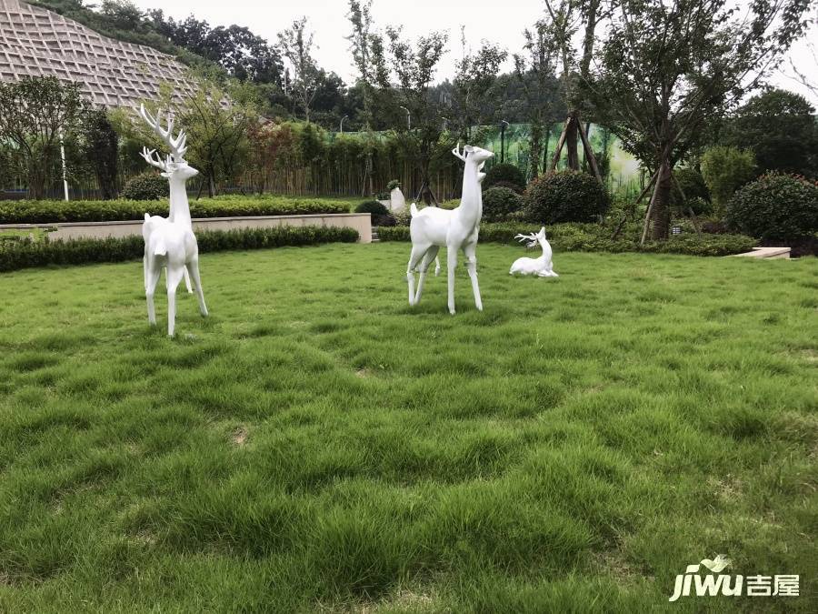 东都遵南首府实景图图片