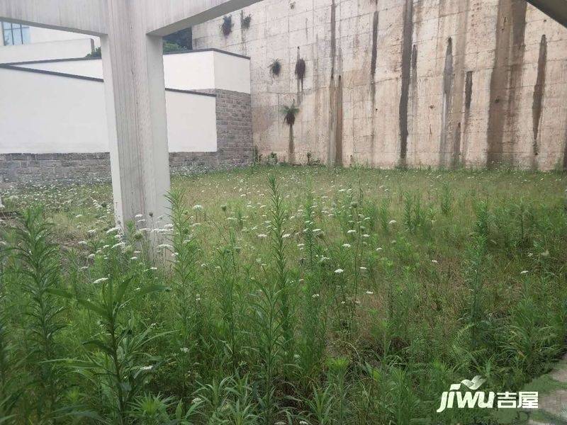 天景雨山前实景图图片