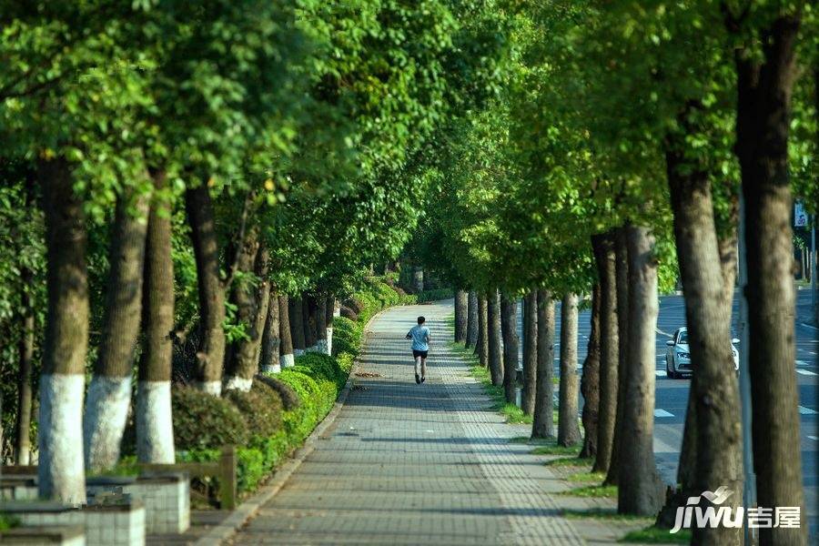 中洲半岛城邦配套图图片