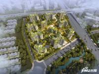龙兴国际生态新城规划图图片