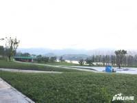 新江与城天越实景图图片