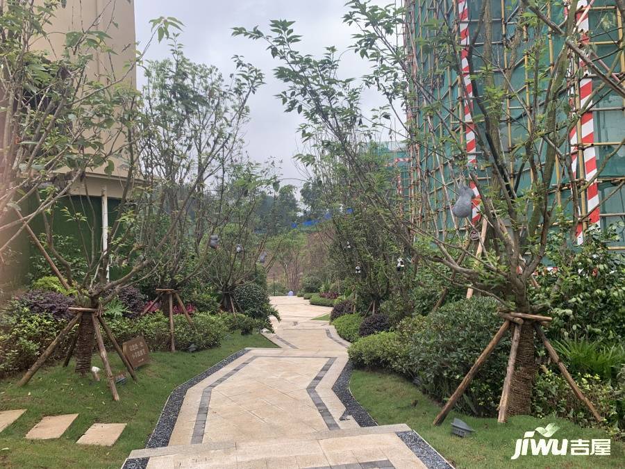 奥园公园壹号实景图图片