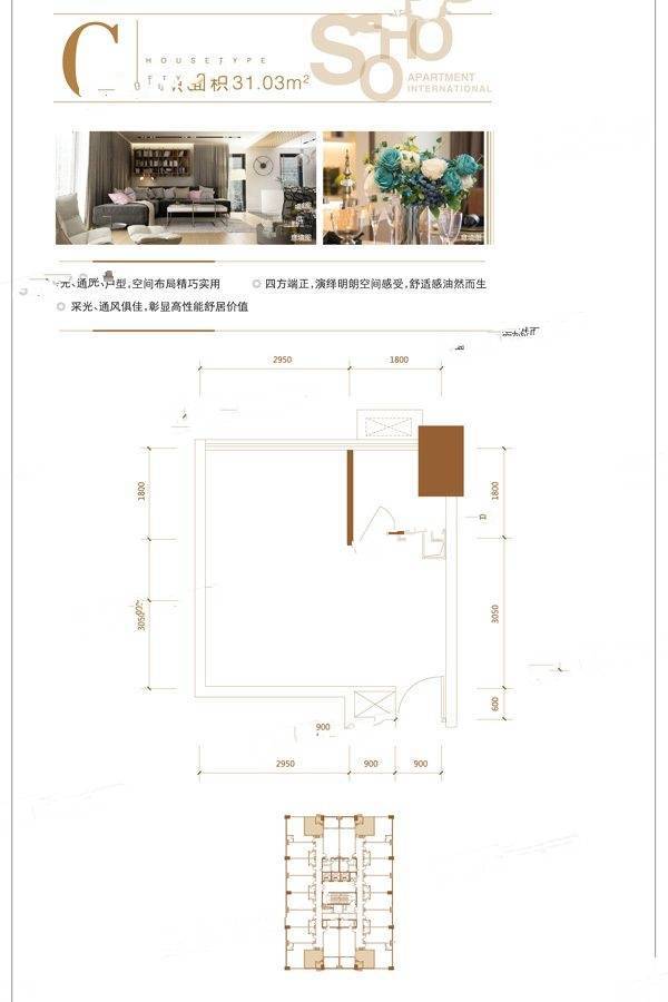 重庆湾公寓1室0厅1卫31㎡户型图