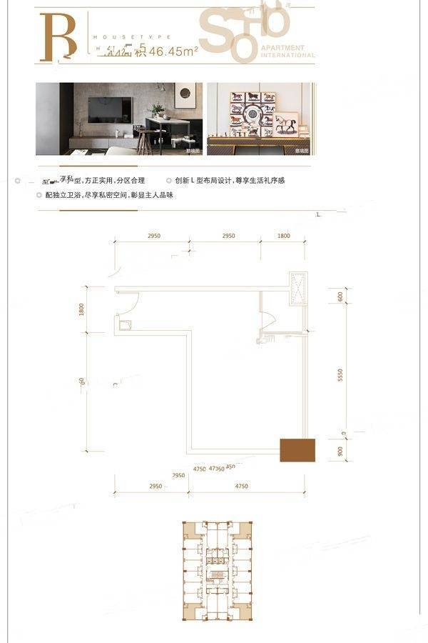 重庆湾公寓1室0厅1卫46.5㎡户型图