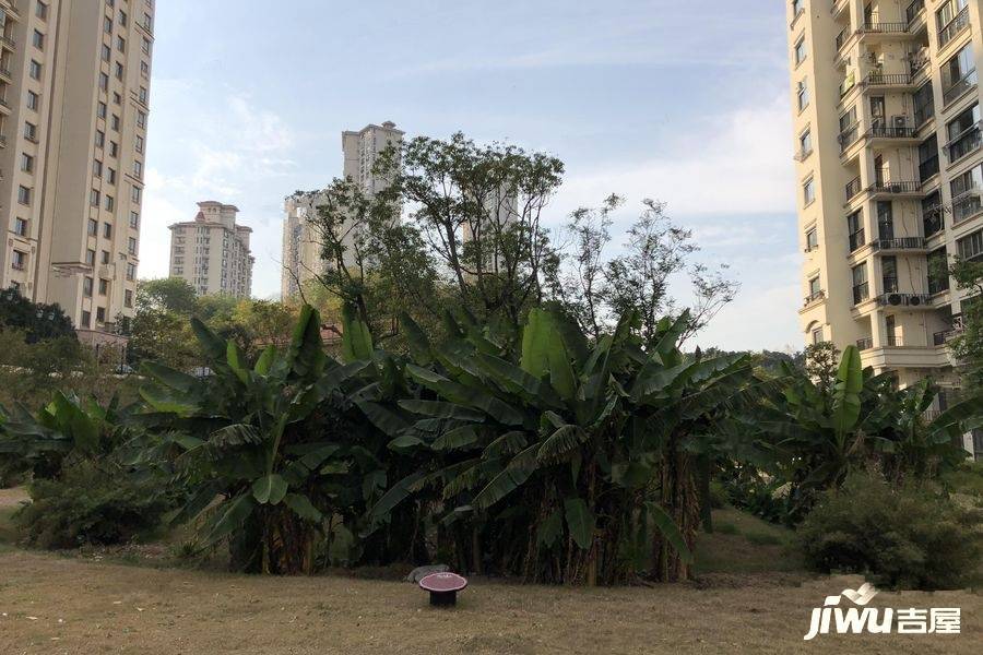 优山美地花园实景图图片