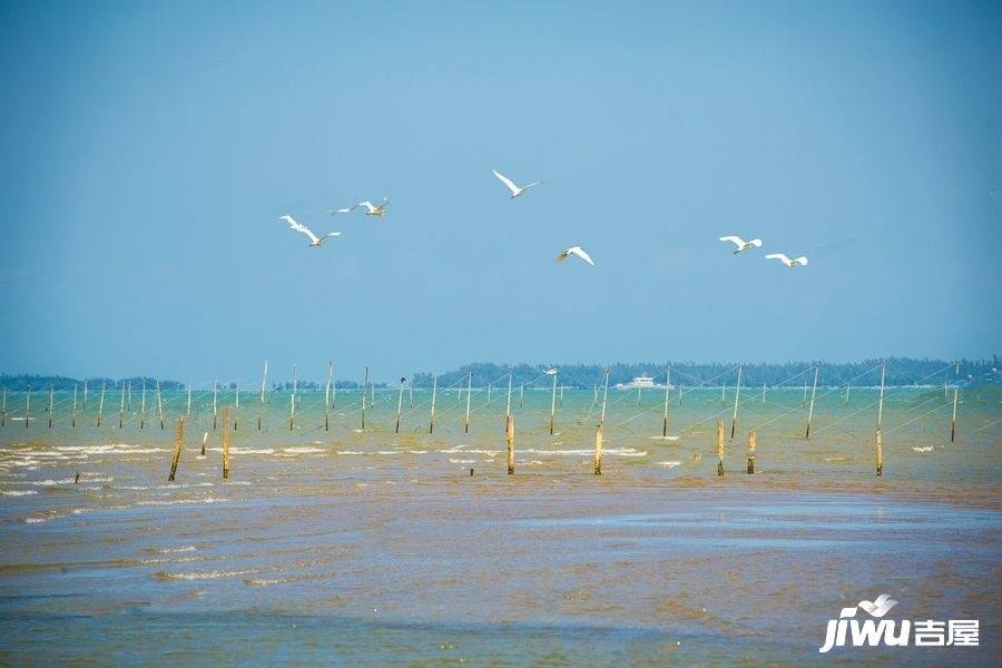 恒大御海天下配套图图片