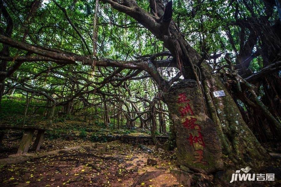 绿海花园配套图图片