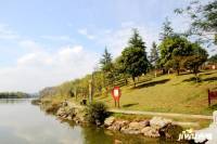 恒泰珑湖实景图图片