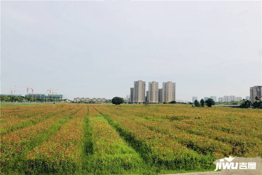 同悦锦园实景图图片