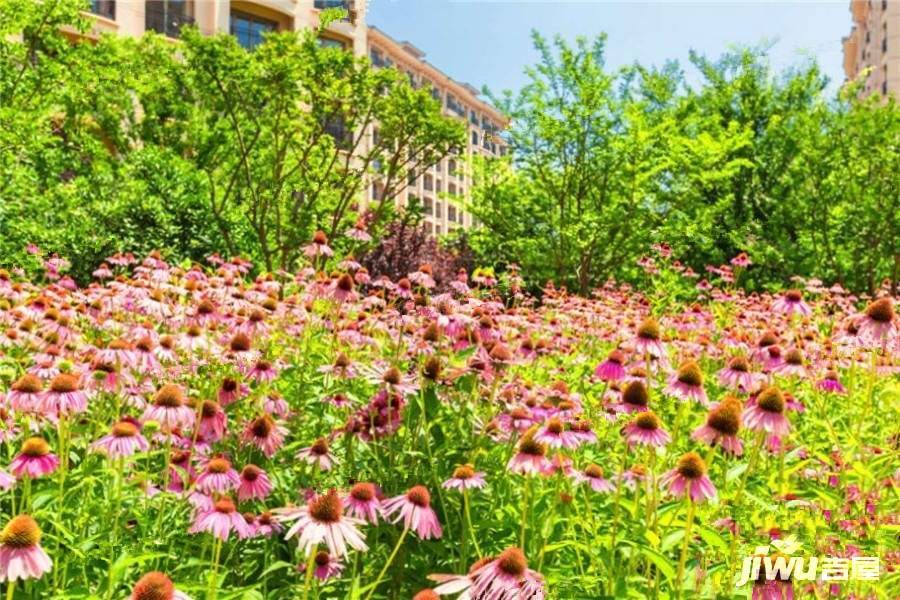 鲁信和璧花园实景图图片