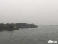 中洲半岛城邦配套图图片