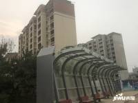 中洲半岛城邦配套图图片