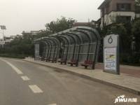 中洲半岛城邦配套图图片