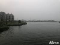 中洲半岛城邦配套图图片