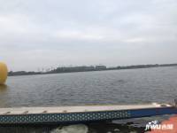 中洲半岛城邦配套图图片
