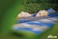 石榴盐渎院子实景图图片