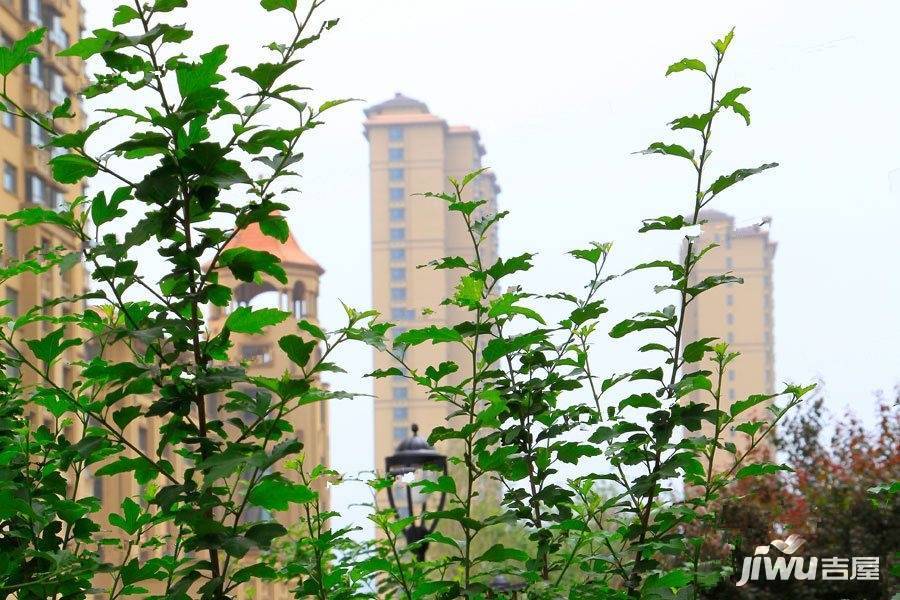 桦林彩雲城实景图图片