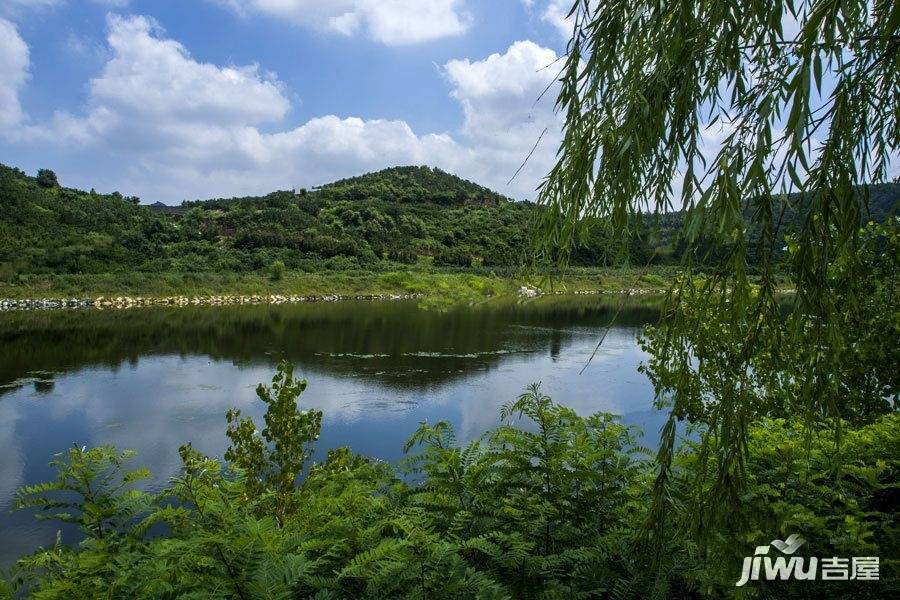 清泉明月山庄实景图图片