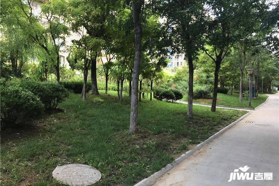 桦林颐和苑商业圈实景图图片