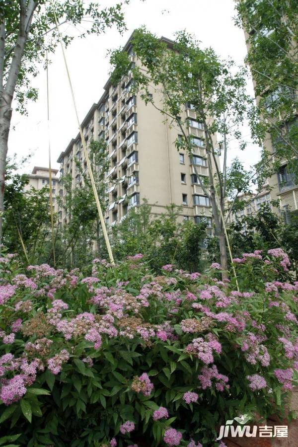 桦林彩雲城实景图图片