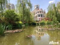 上海滩花园别墅实景图图片