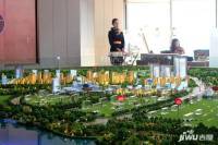 绿地滇池国际健康城沙盘图图片