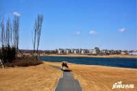 天茂湖慧湖学院实景图图片