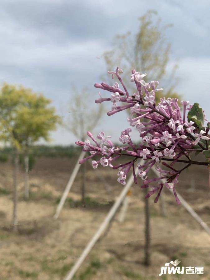 万星北城上院配套图图片