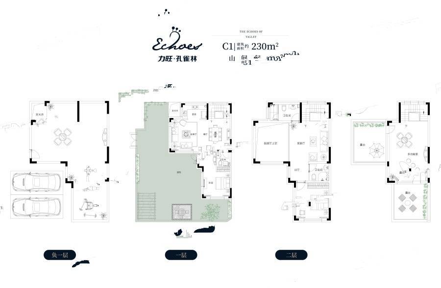 力旺孔雀林2室5厅3卫230㎡户型图